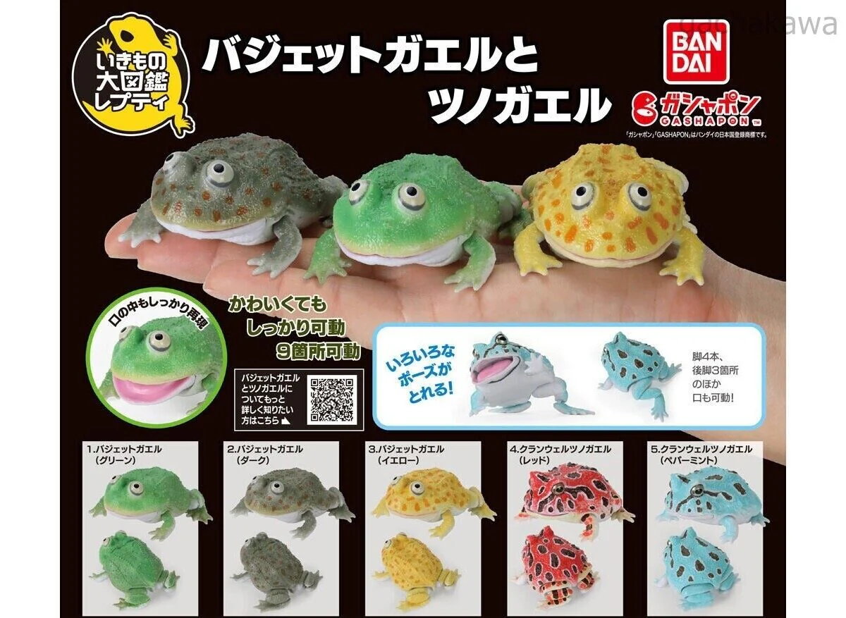 Ikimono Encyclopedia Repti Budget Frog and Ceratophrys Set of 5 capsule toy - Image 11