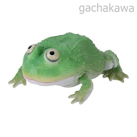 Ikimono Encyclopedia Repti Budget Frog and Ceratophrys Set of 5 capsule toy - Image 3