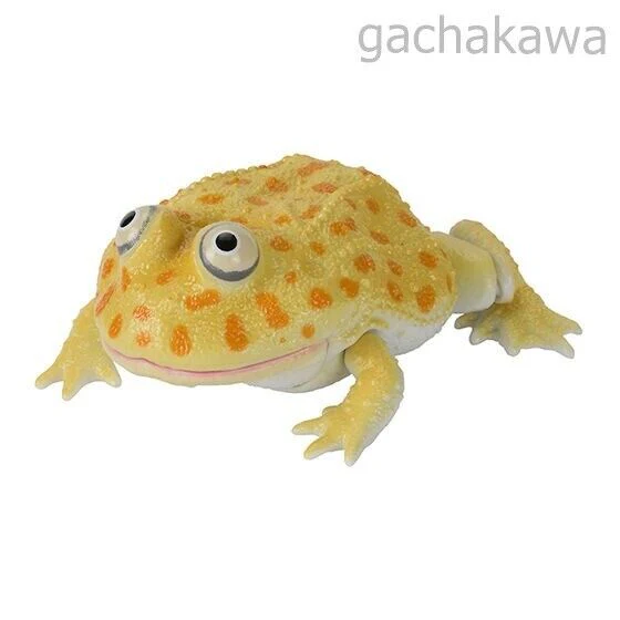 Ikimono Encyclopedia Repti Budget Frog and Ceratophrys Set of 5 capsule toy - Image 5